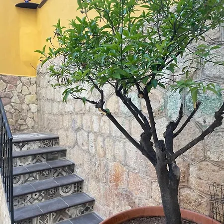 Donna Pina Сasa de vacaciones *